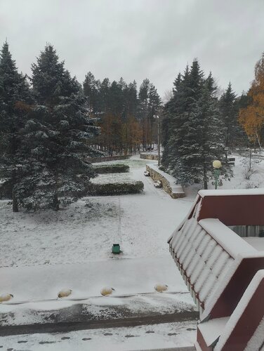 Druzhba, Prenota Hotel Pushkinskie Gori 