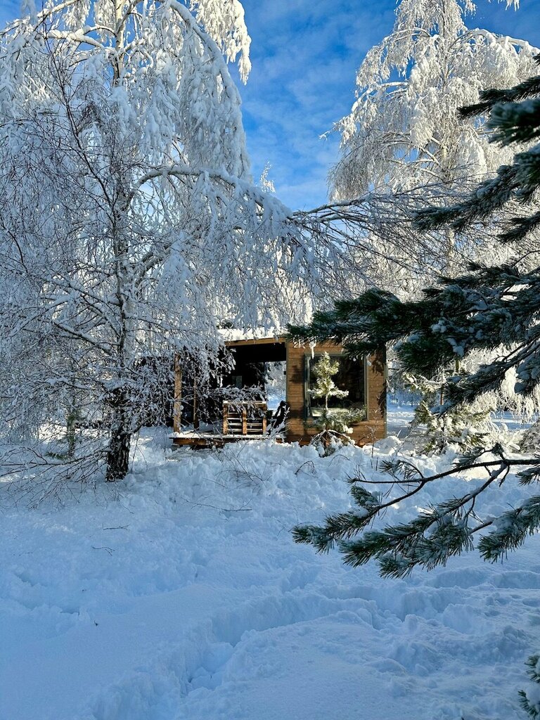 Клюква