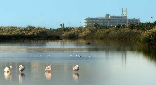 Lodomar Thalasso Hotel, Boek Hotel Hotels in Murcia met maaltijden, Halfpension / Volpension