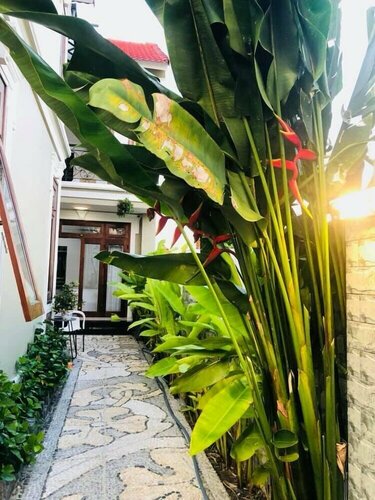 Hoi An Lake Shore Homestay, Book Pension Hoteller i Quang Nam med parkering, Parkering