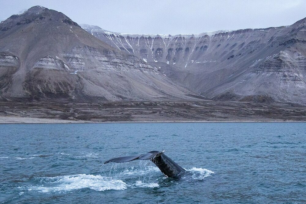 Hotel Barentsburg