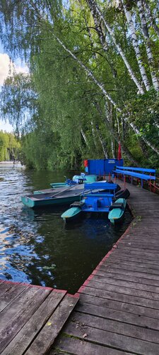 Chayka, Rezervovat Penzión Pushkin Pushkinsky District