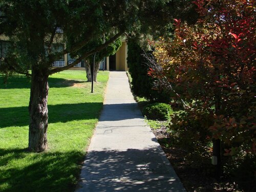 Econo Lodge near Snake River, Varaa Hotelli Hotellit Idaho pysäköinnillä, Pysäköinti