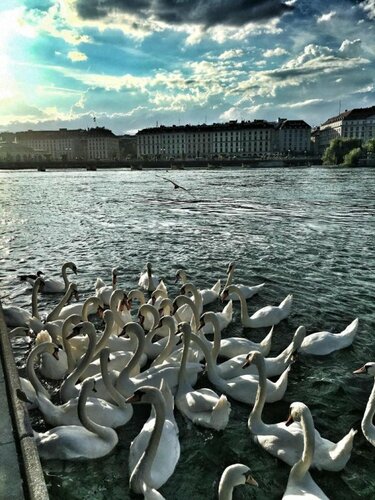 Geneva by Fassbind, Book Hotel Saint-Gervais / des Grottes 
