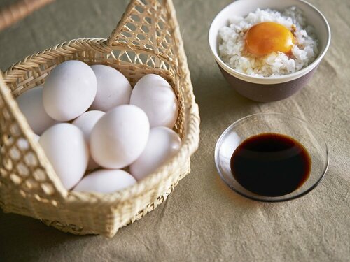 REF Omiya by VESSEL HOTELS, Book Hotel Omiya Ward 