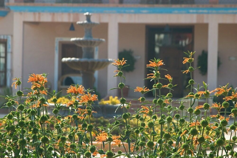 Hotel Font Salada
