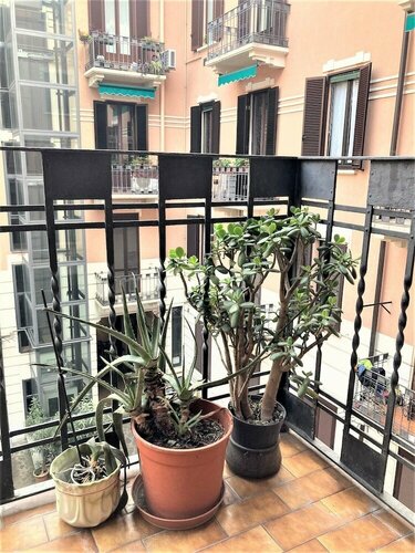Stradivari, Брондау  Milan Lombardy, Pasteur маңындағы