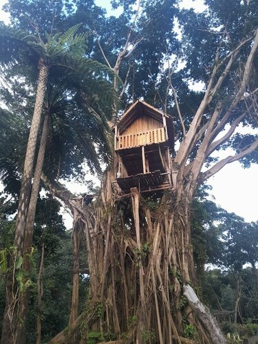 Glowing Mountain view tree house, Rezervați Hotel Tanna 