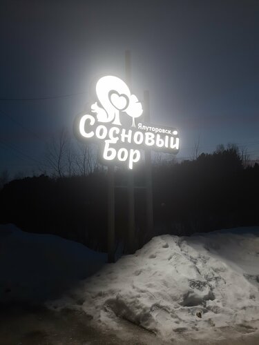 Сосновый бор, Buchen Sie Hotel Hotels in Penza Region mit Pool, Schwimmbad