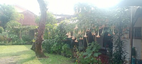 Griya Palayu, Réserver Maison d'hôtes Hôtels pas chers à Bogor Selatan