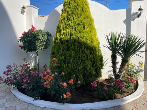 Lev Guest house, Prenota Affittacamere Hotel a Crimea con piscina, Piscina