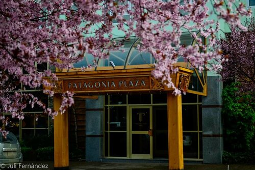 Patagonia Plaza Hotel, Забронировать Отель Отели Неукен 4 звезды, 4*