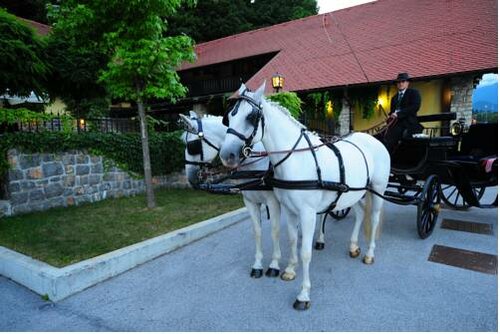 Vila Podvin, Book Bed and Breakfast Radovljica Bled