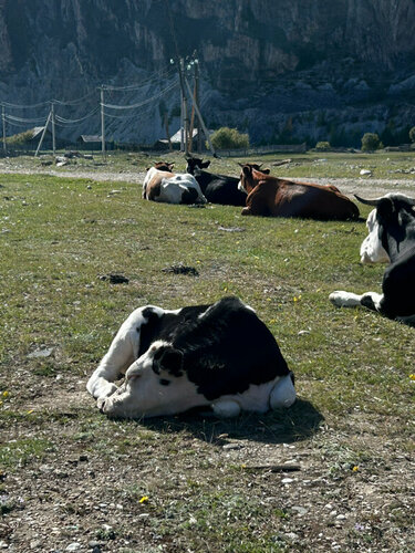 Eastories farm, Забронировать Фермерский дом Бугульдейка 