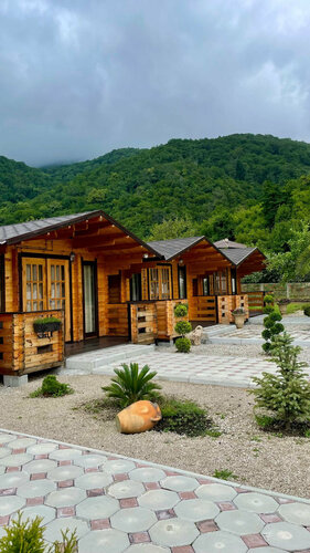 Olginka Guest House, Book Pension Gagra District hoteller med pool, Swimmingpool