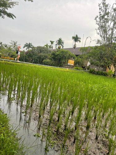 Arya Arkananta Resort and Spa Hotel , Book Hotel Hoteller i Gianyar med pool, Swimmingpool