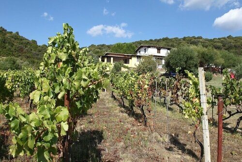 Agriturismo Sa Inza, Забронировать Отель «постель и завтрак» Позада Южная Сардиния