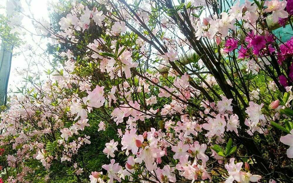Yongin Byeolbaragi Pension