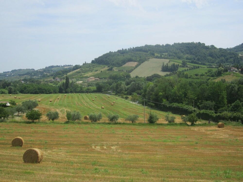 Le Spighe Agriturismo