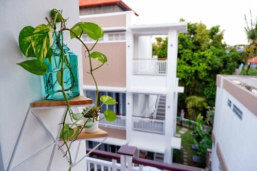 The Sloth Bali, Rezerwuj Hotel Tanie hotele w Bali