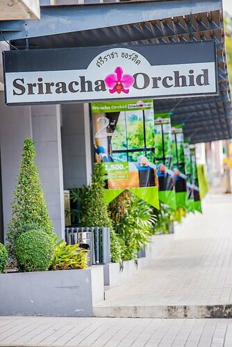 Sriracha Orchid Hotel, Забронировать Отель Недорогие отели Сирача, недорого