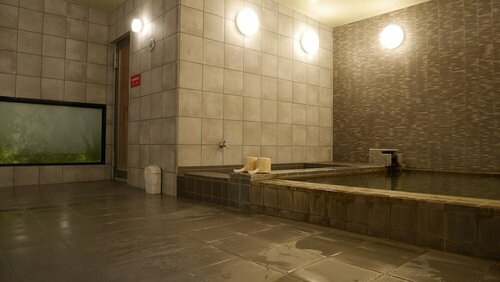 HOTEL GLANY's KOSHIGAYA premier, Забронировать Отель Отели Косигая 3 звезды, рядом с Железнодорожная станция Син-Косигая, 3*
