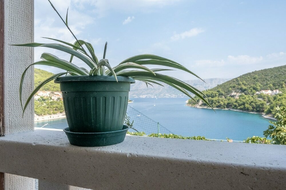 Apartments Darija