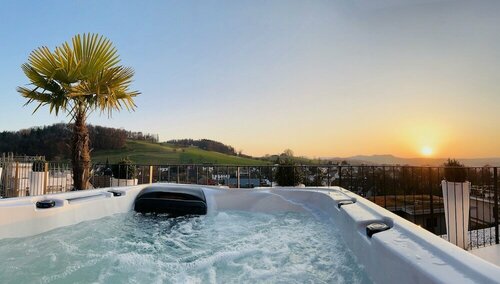 perfect lifestyle Design Boutique & Private SPA, Book Resort Gebenstorf 