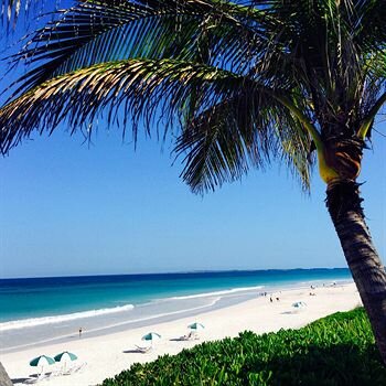 The Cove Eleuthera