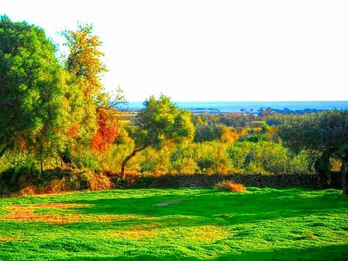 Paradiso degli Ulivi, Забронировать Отель Отели Орозеи 3 звезды, 3*