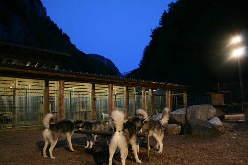 Hüttenhotel Husky Lodge, Забронировать Отель СПА-отели Люцерна, SPA-услуги