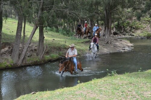 Bestbrook Mountain Farmstay, Buchen Sie Resort Tregony Australien
