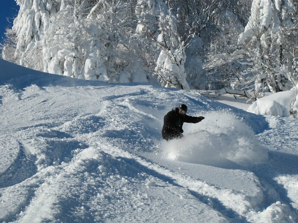 Snowcrest