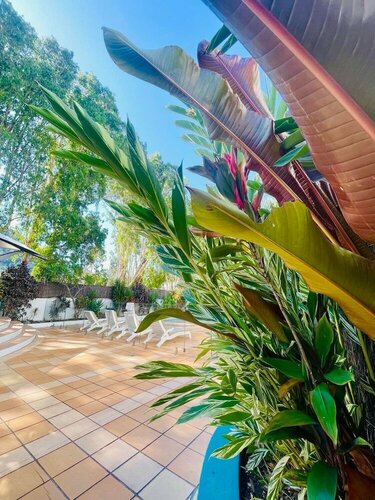 BeachView Apartments at Villa Paradiso, Prenota Appartamento Hotel a Queensland con parcheggio, Parcheggio