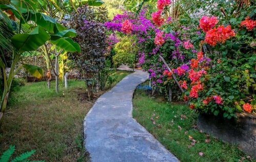 Nelly Homestay, Book Hotel Lombok hoteller med parkering, Parkering