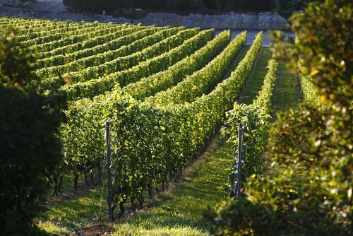 Domaine de Châteauvieux, Boek Hotel Peney-Dessus 
