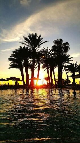 Beach Albatros, Rezervasyon Otel Souss-Massa-Draa havuzlu oteller, Yüzme Havuzu