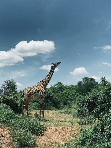 Tembe Home, Book Hotel Nduli Airport Tanzania