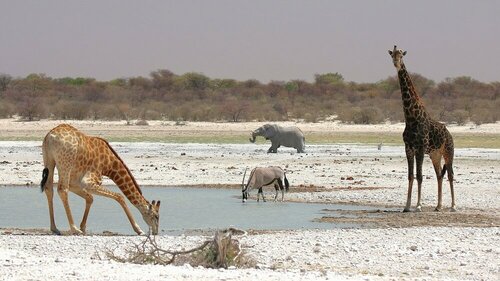 Khamab Kalahari Reserve, Забронировать Отель Village of Doktor Yusefpur Fishery Иран