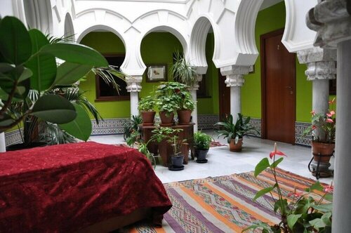 Apartamento EN típico patio cordobés