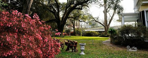 Clermont Bluffs B&B, Buchen Sie Bed & Breakfast Natchez Mississippi