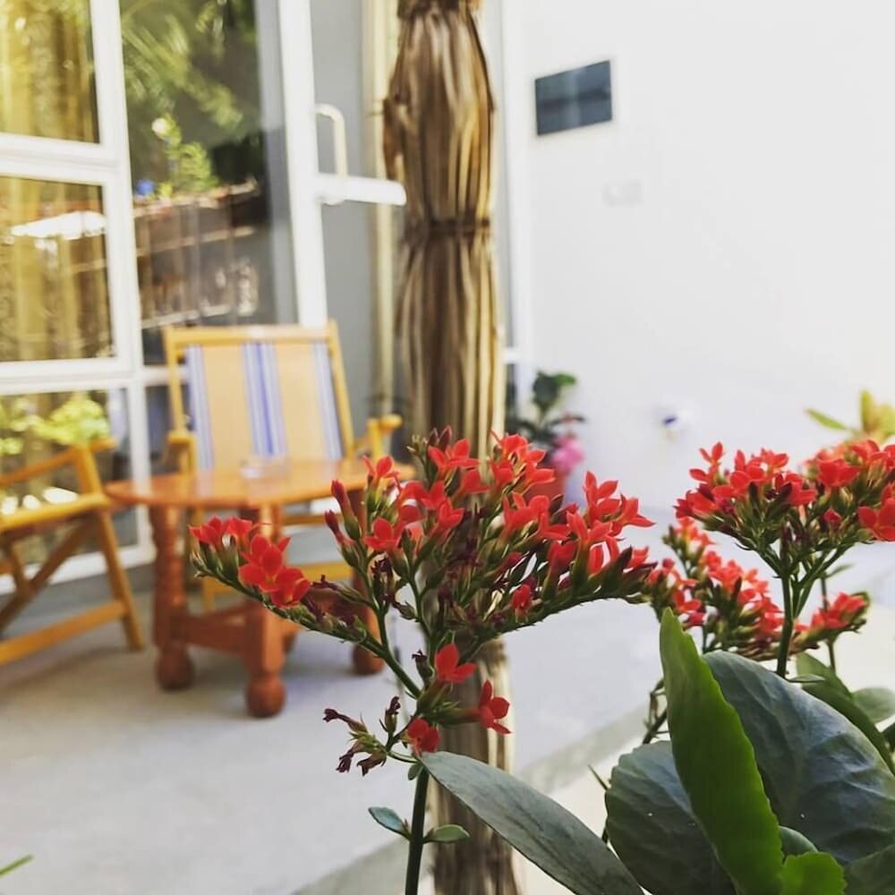 Palm Garden
