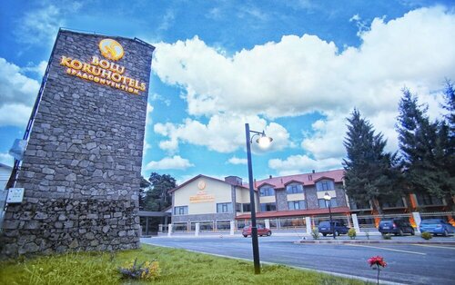 Diamond Koru Hotel, Забронировать Отель Отели Черноморского региона Турции с бассейном, Бассейн