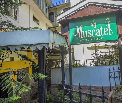 Muscatel Delamere Central, Prenota Hotel Gangtok Sikkim, vicino a Monastero di Enchey