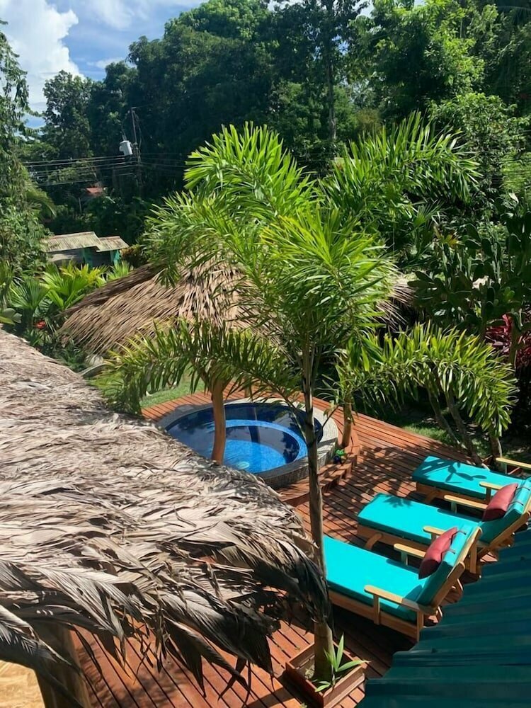 Casa Mambo