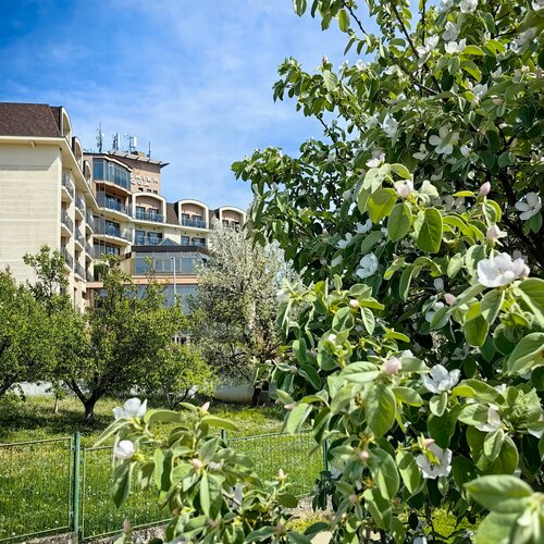 Hotel Premier Aqua Adults Only - Fruške Terme, Забронировать Отель Врдник Fuska Gora National Park