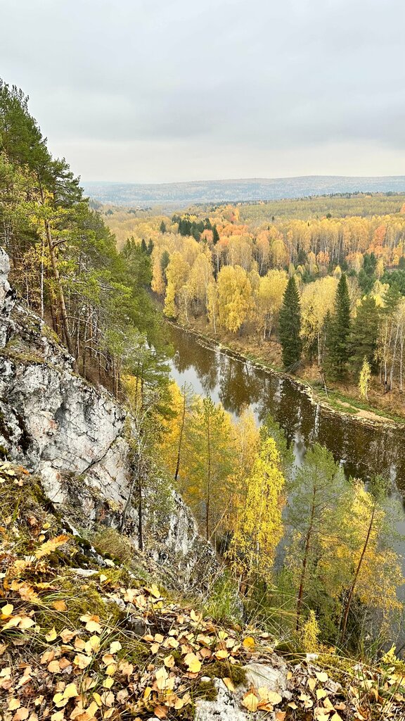 Елки