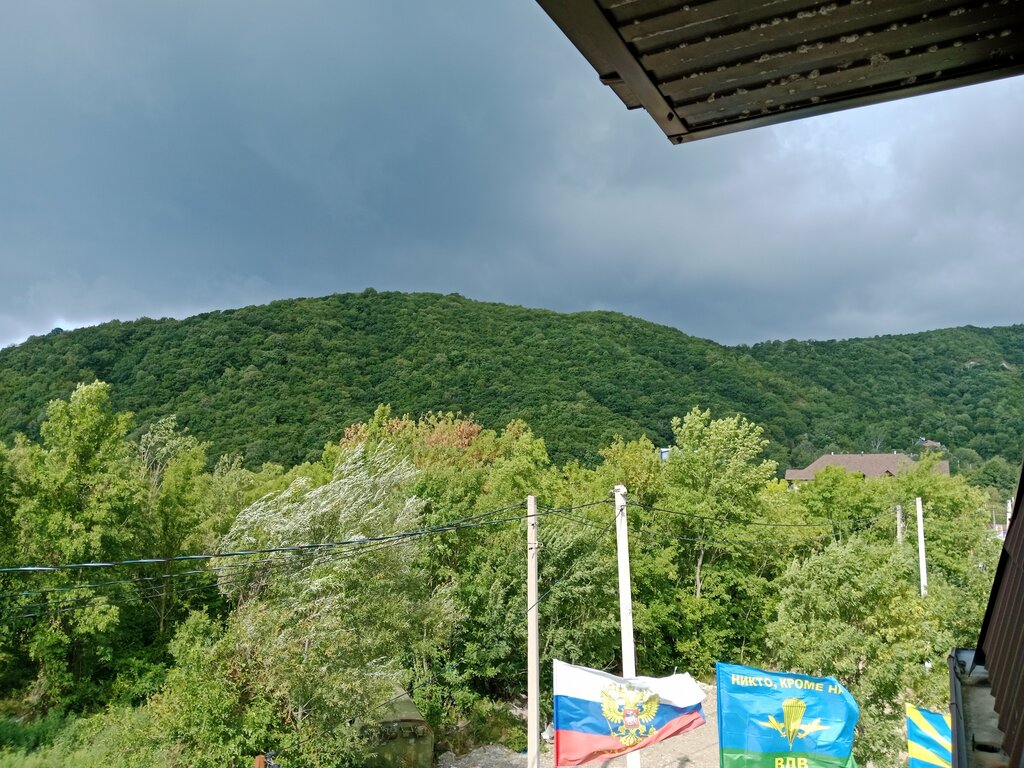 У Петровича