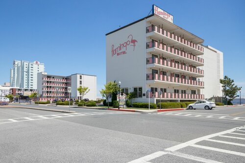 Flamingo Motel, Rezervasyon Motel Maryland Moteller, Motel