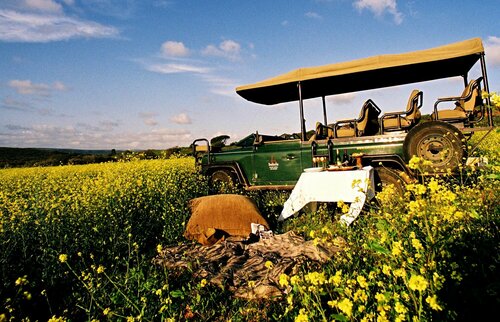 Bukela Game Lodge Amakhala Game Reserve, 예약 휴가용 주택 Amakhala Game Reserve Alexandria